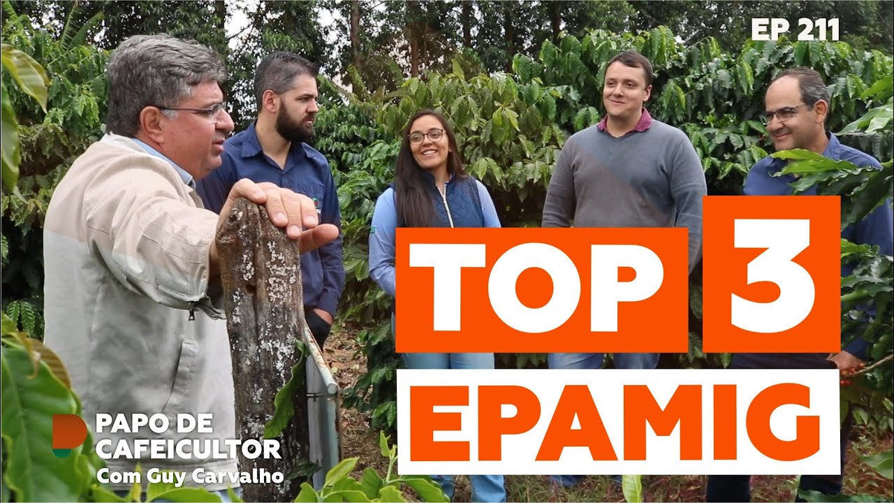 TOP 3 Epamgi, conheça variedades de café.