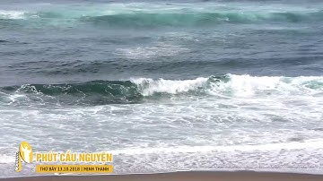 Phút Cầu Nguyện, Thứ Bảy 13/10/2018: Yêu Mến Mẹ Mân Côi