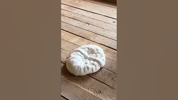 Xốp xịt cách âm