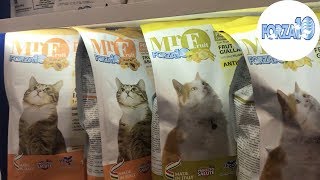 Отзыв Владелицы Питомника Мейн Кунов из Питомника Лерошель О Нашем Корме FORZA10 Отзыв Владелицы Питомника Мейн Кунов из Питомника Лерошель О Нашем Корме FORZA10