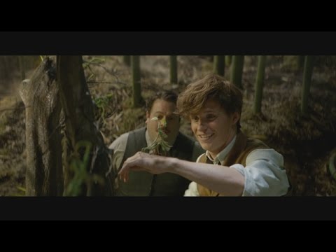First Look! 'Fantastic Beasts and Where to Find Them' Full Trailer