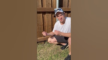 Do this to keep RABBITS out! #lawncare #diylawncare