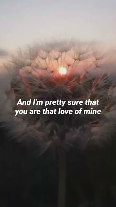 and I'm pretty sure that you are that love of mine !!! lyrics #lyrics #lyricsstatus #subscribe 💜💜