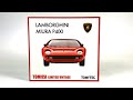 The First Lamborghini Tomica Limited Vintage