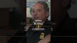 Drug busts worth millions on #ToCatchASmuggler #shorts