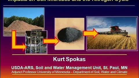 Impacts of Biochar Additions on Soil Microbial Processes and Nitrogen Cycling
