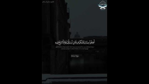 القارئ راجح ال عامر