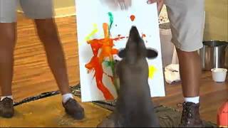 Chattanooga Zoo Makes Art In The Wild Chattanooga Zoo Makes Art In The Wild