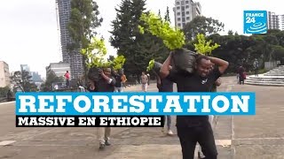 L'Éthiopie plante 353 millions d'arbres en une journée