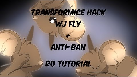 Hack TFM Wj fly + Anti-Ban [ Ro Tutorial ].