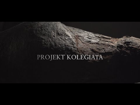 Wideo: Czy to znaczy „kolegiata”?