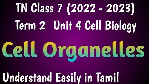 Cell Organelles| Class 7 Science Term 2 Unit 4 Cell Biology