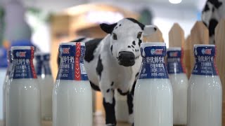 GLOBALink | Food companies in China's Tianjin going global