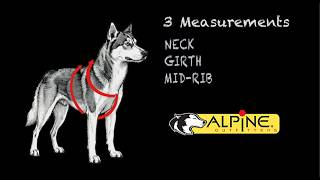 How to Size an Adjustable Dog Harness: Mushing & Everyday Use Guide