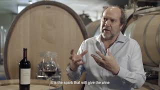 Pionero Blend “Finca El Tomillo” Gualtallary 2014 - Bemberg Estate Wines