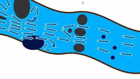 River Navigation Tutorial