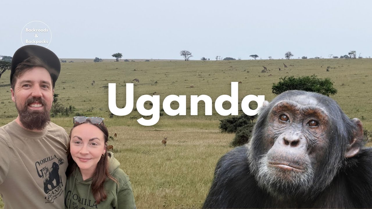 Uganda | Into the Wild: 8 Days with Gorillas, Chimps & the Big Five