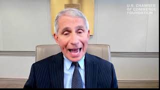WATCH: Dr. Fauci speaks to the U.S. Chamber of Commerce Foundation about coronavirus