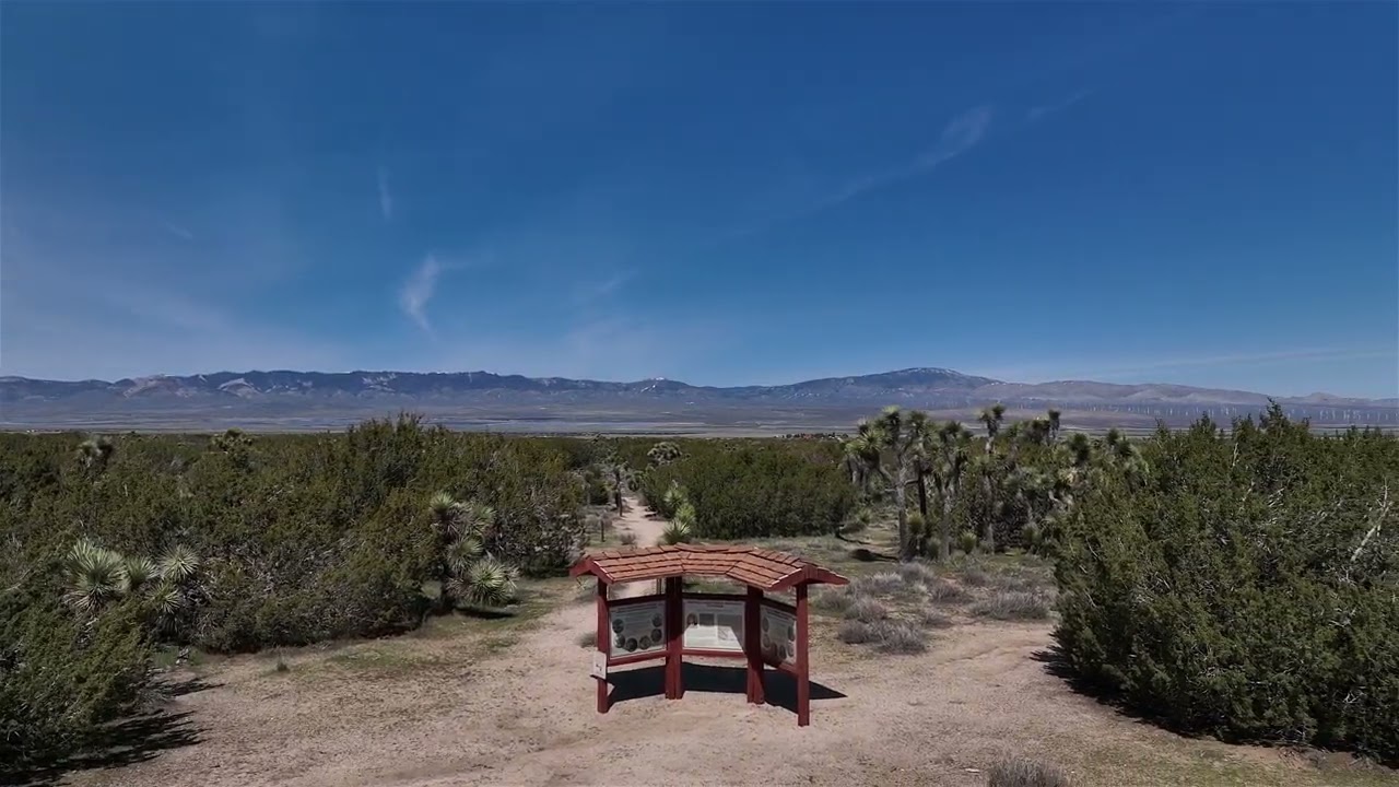 03182023 Arthur B Ripley Desert Woodland State Park