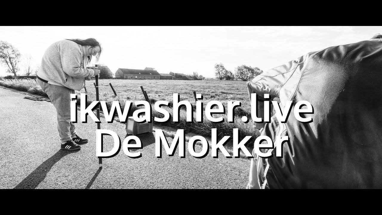 Vinkenzetting van De Mokkervink met 19 vinken - ikwashier.live in De Mokker, Koekelare