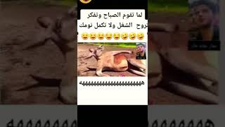 لما تقوم الصبح