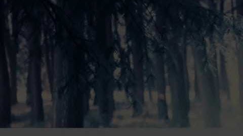 Symfony: el modelo parte 1