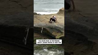 tony hawks best friend was a seal 🦭 🤣