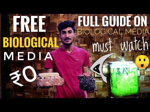 Free Biological Filter Media For Aquarium | Full Guide On Biological Filtration Of