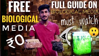 Free Biological Filter Media For Aquarium | Full Guide On Biological Filtration Of Aquarium