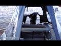 Тент для лодки Мнев и К Кайман N-380 - видео от ТоргСин