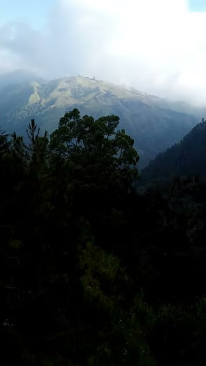CEMORO SEWU NINGGAL KENANGAN ( For story WA )