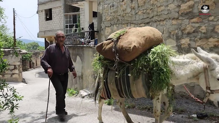 مشوارنا اليوم بضيعة بصرصر