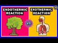Heat Transfer: Endothermic and Exothermic Reactions Explained