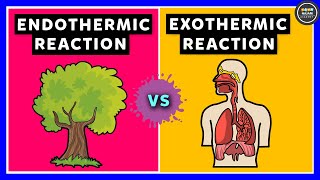 Endothermic Reaction and Exothermic Reaction