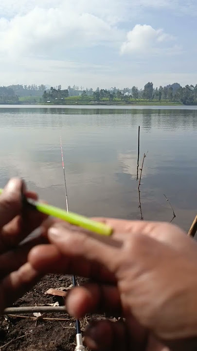peristiwa yang jarang terjadi di sini #fishing #mancing #ikan #angler #pancing #shortsviral #short