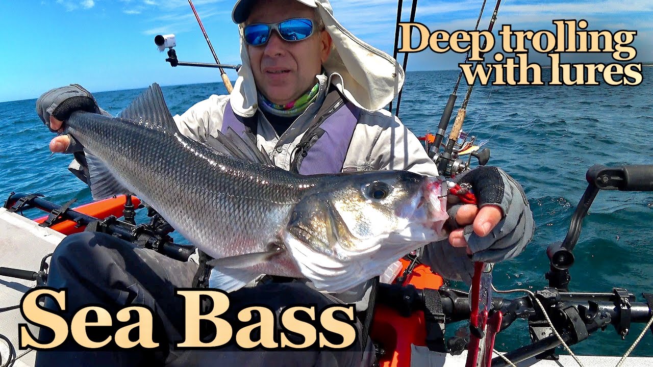 Sea Bass Fishing - Deep trolling with lures 