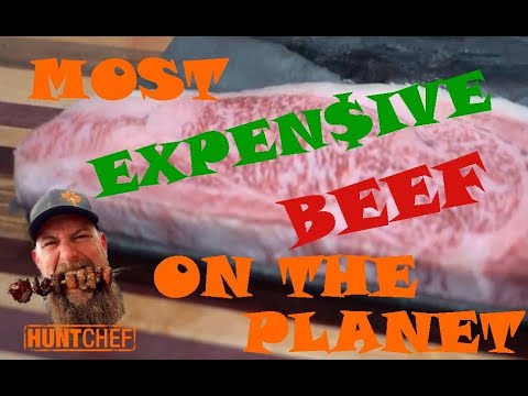 World's Most Expensive Beef | Wagyu | #wildflavor | HuntChef Seasonings