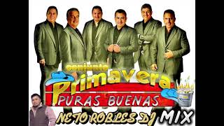 CONJUNTO PRIMAVERA MIX puras buenas By;Neto Robles Dj