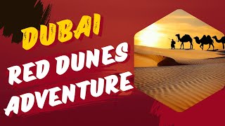 What Makes Dubai&#39;s Red Dunes Desert So Special? #dubaitravel #desertadventures #uae #dubai