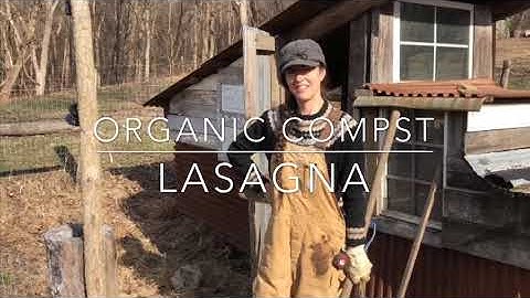 Organic Compost Lasagna