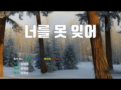[은성 반주기] 너를못잊어 - 유해준