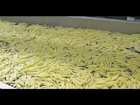 Video: Cómo Procesar Patatas