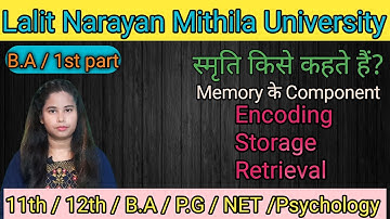 Memory in psychology in hindi ll memory k basic process ll encoding ll storege ll retrieval ll