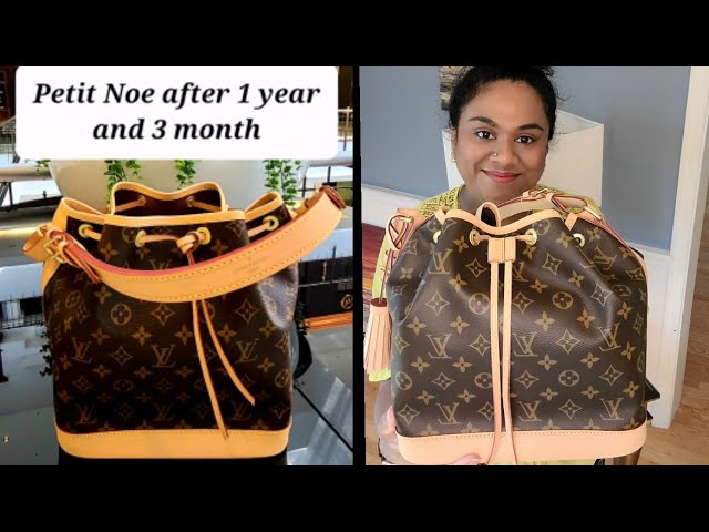 Louis Vuitton Petit Noe: wear/ tear/ patina update after 1 year and 3  month! 
