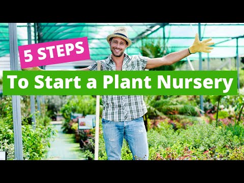 plant nursery