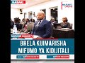 BRELA KUIMARISHA MIFUMO YA KIDIJITALI