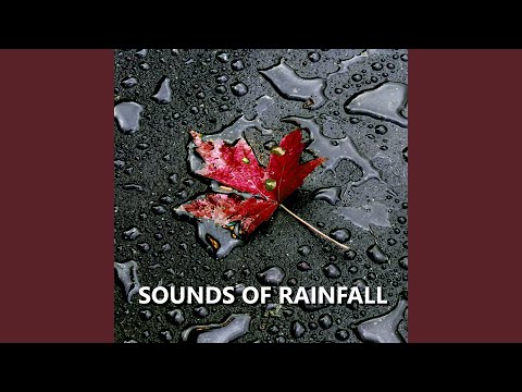 Genuine Sunset Rain Sounds