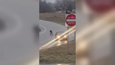 Driver bails car while skidding on black ice before crashing into ravine