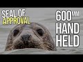 Seals, Sea Scapes and Sand - Landscape Photography on the Norfolk Coast - UK
