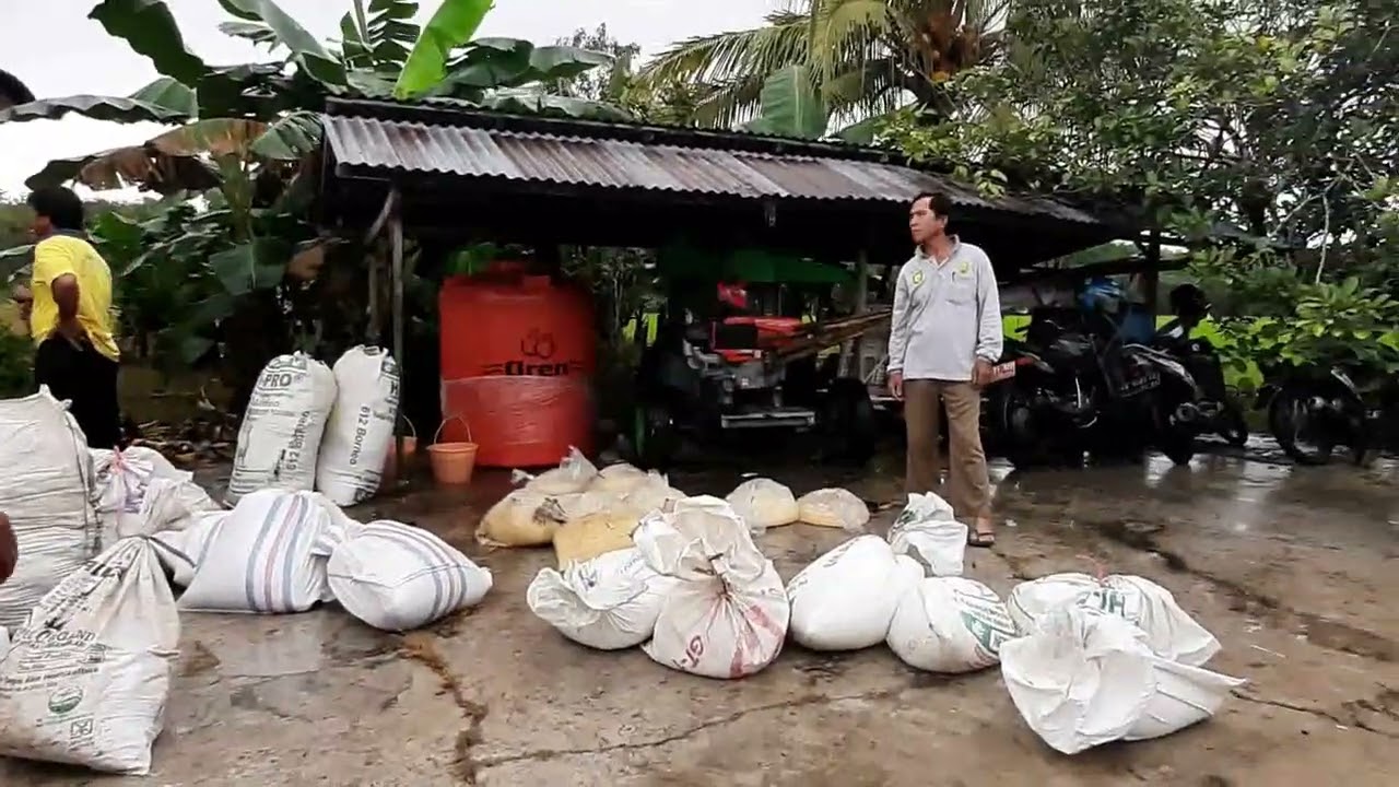 SI REPLIKA INSANAK BPP TEKARANG